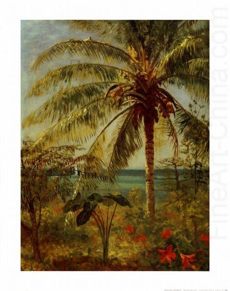 Albert Bierstadt Palm Tree, Nassau by Albert Bierstadt china oil painting image